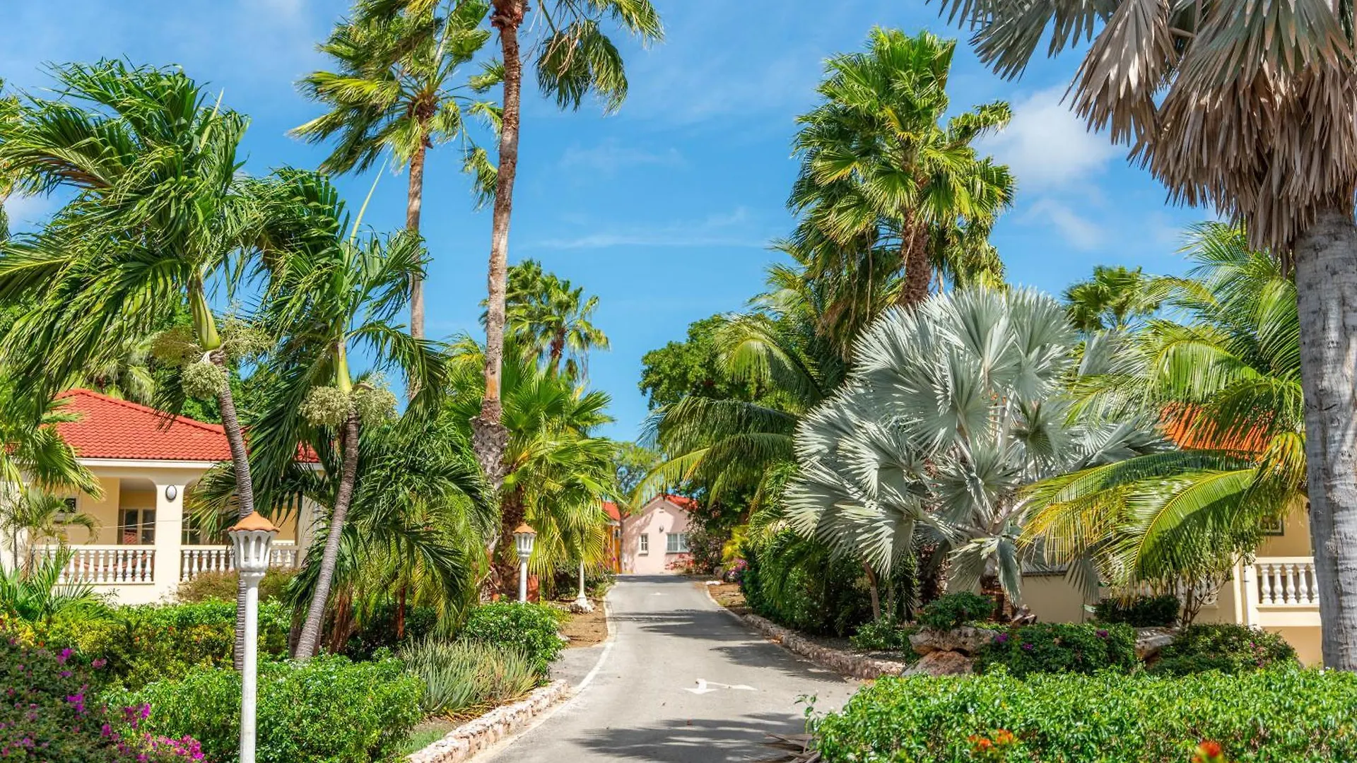 ****  Livingstone Jan Thiel Resort Willemstad Curacao